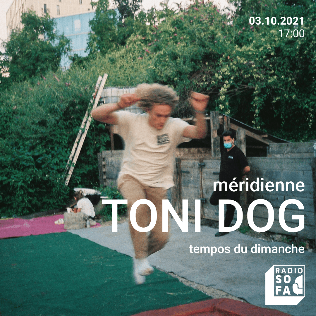 TONI DOG