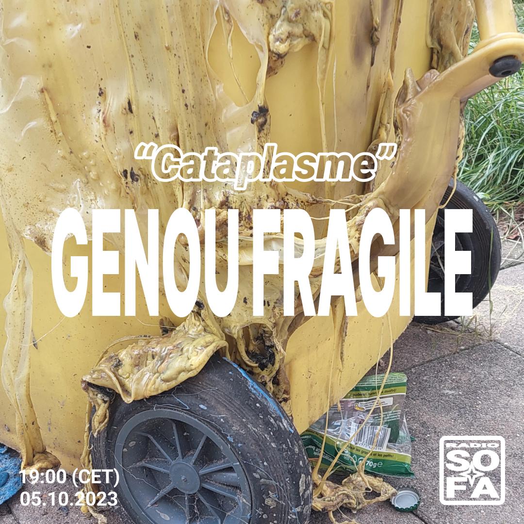 CATAPLASME : GENOU FRAGILE