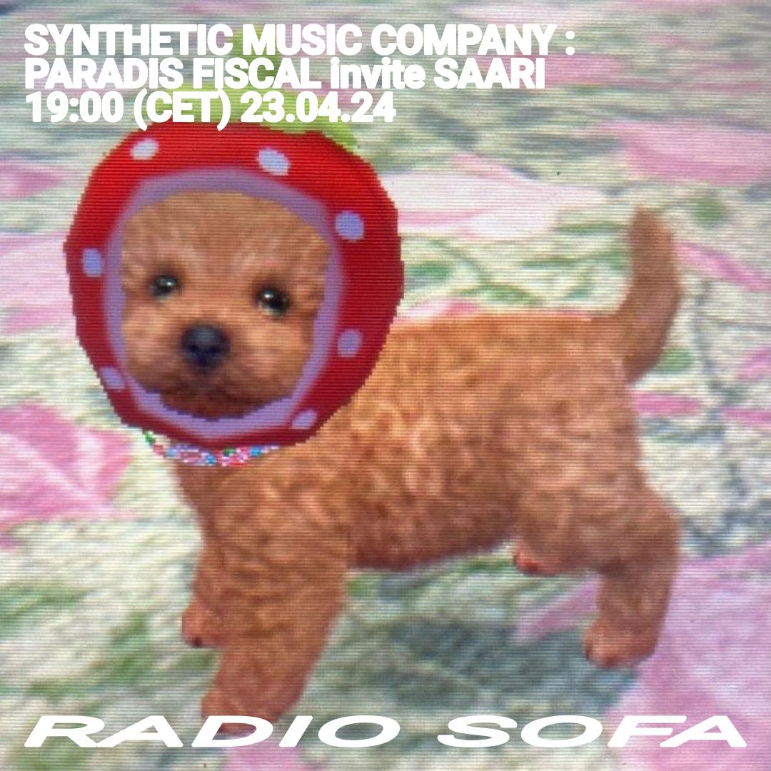 Synthetic Music Company : Paradis Fiscal Invite SAARI (23.04.24)