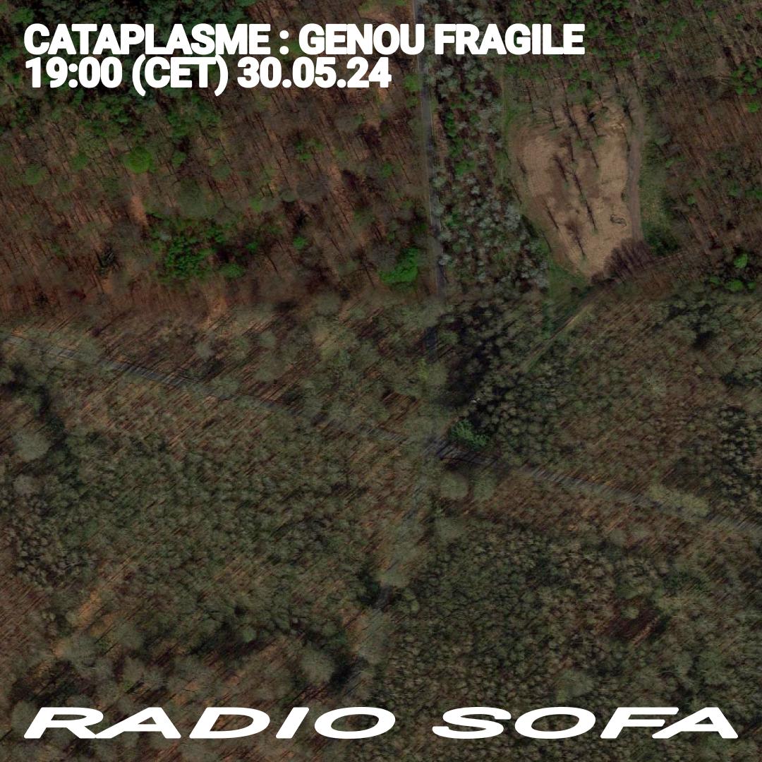 Cataplasme : Genou Fragile (30.05.24)