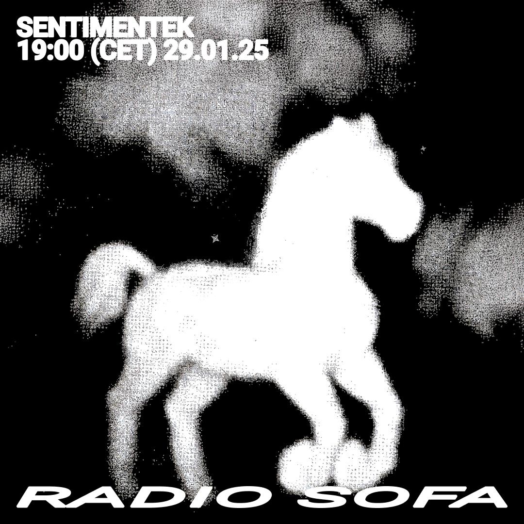 SENTIMENTEK (29.01.25)